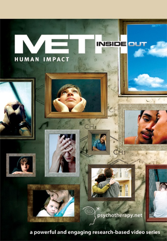 Meth Inside Out: I. Human Impact